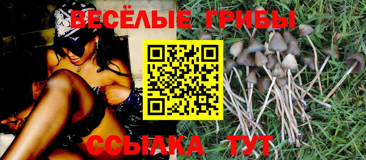 Псилоцибиновые грибы MAGIC MUSHROOMS Сальск