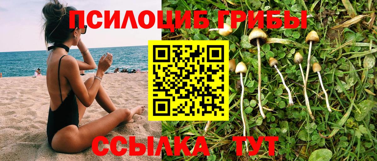 Галлюциногенные грибы GOLDEN TEACHER  где можно купить   Сальск  Вход с VPN  Галлюциногенные грибы ЛСД 