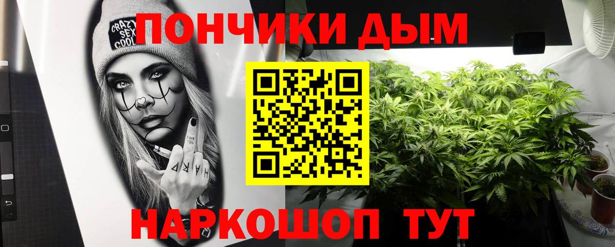 Бошки марихуана Ganja  Канабис тримм  Сальск  Вход с VPN  Шишки марихуана планчик 